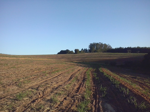 Propriedade rural em Araçoiaba da Serra — 33 hectares — foto 1 de 9