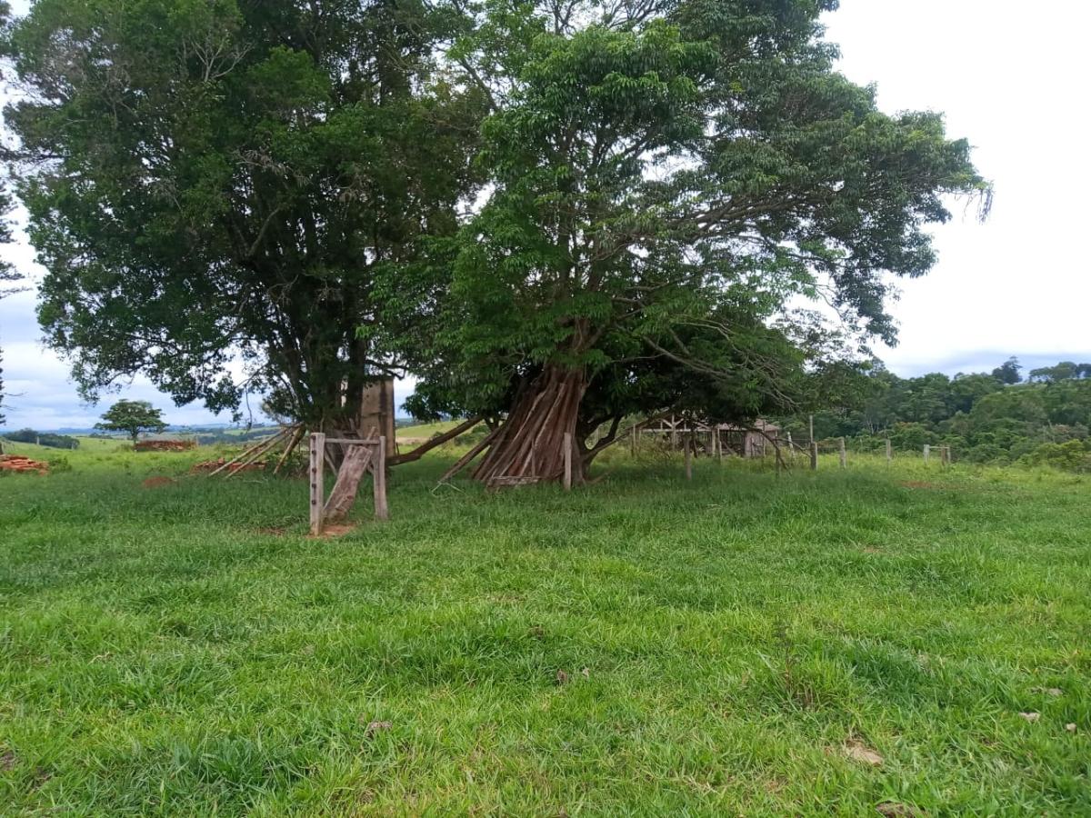 Propriedade rural em Itapetininga. Água em Toda a Área — 121 hectares — foto 1 de 9