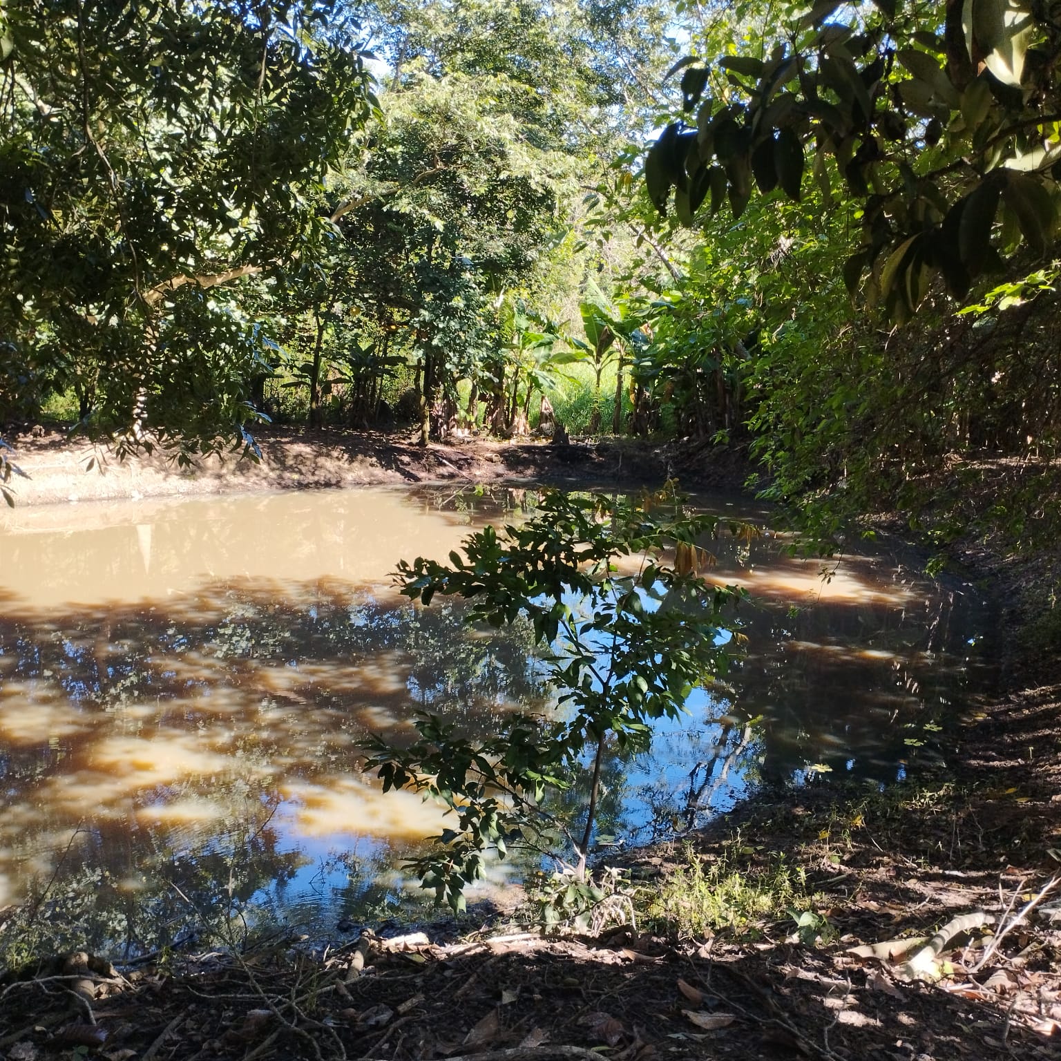 Propriedade rural em Indaiatuba — 3 hectares — foto 1 de 1