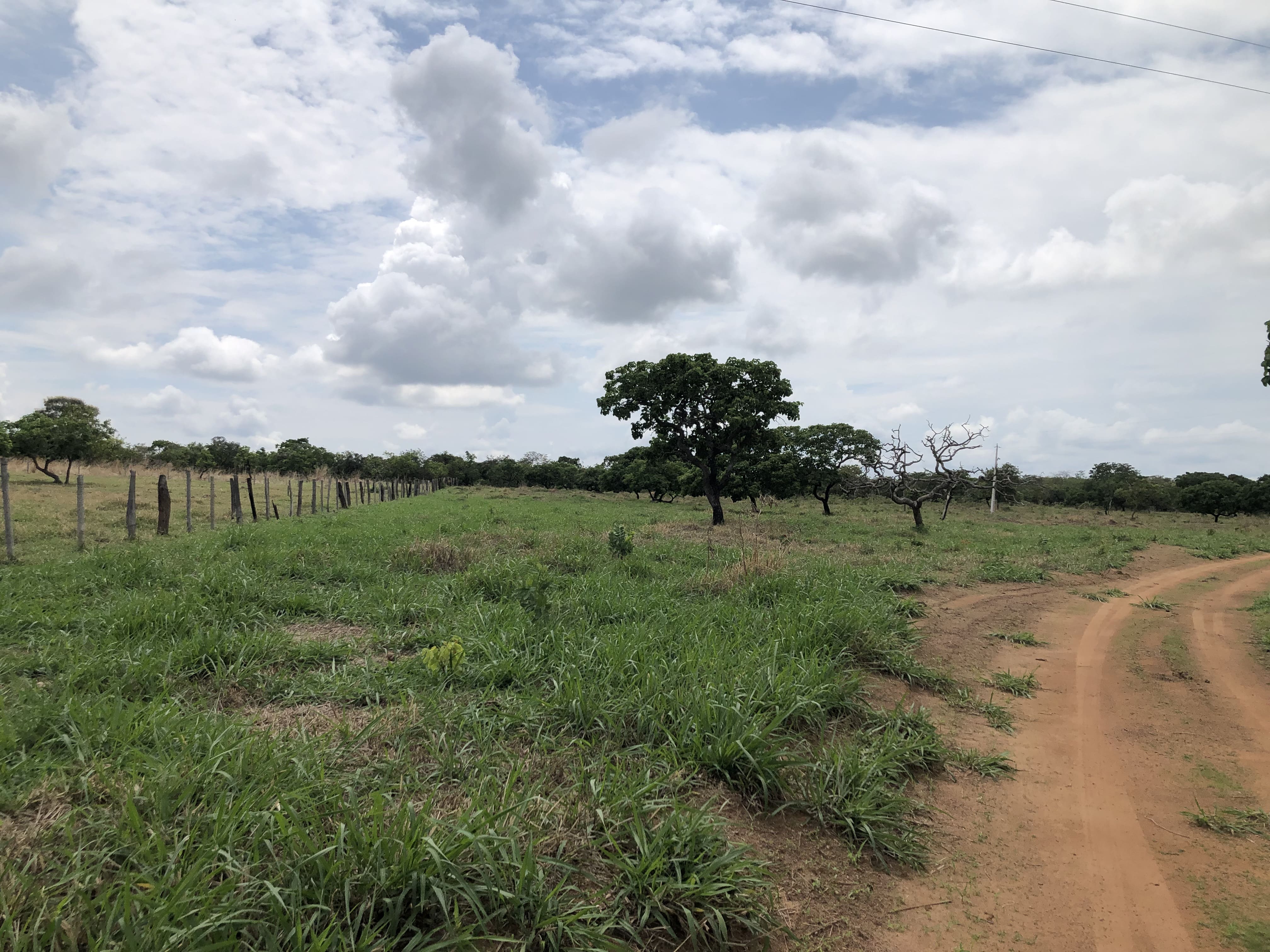 Propriedade rural em Marzagão — 73 hectares — foto 1 de 9