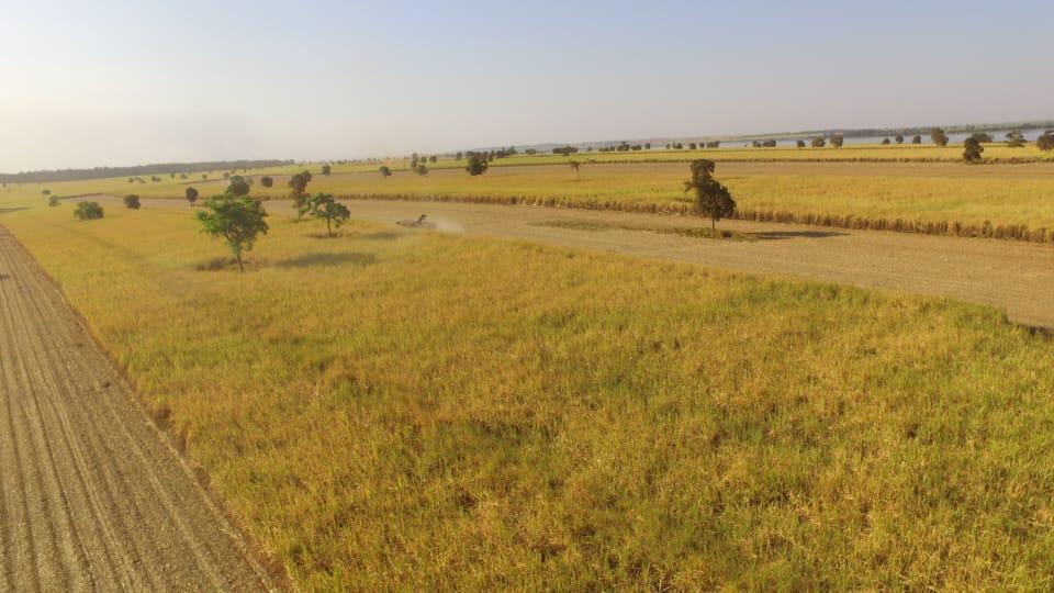 Propriedade rural em Quirinópolis — 677 hectares — foto 1 de 9