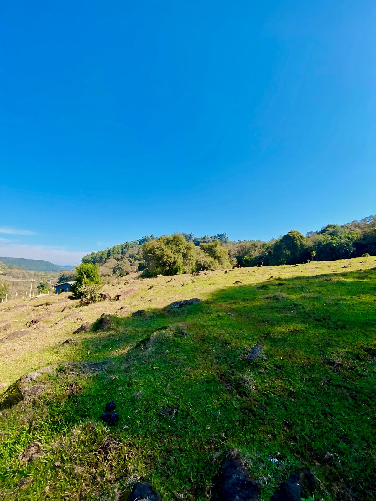 Propriedade rural em Guatambú — 20 hectares — foto 1 de 1