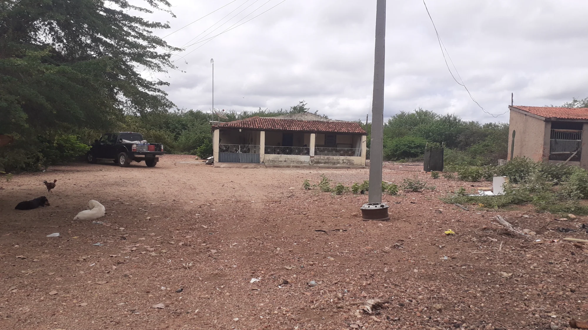 Propriedade rural em Casa Nova — 42 hectares — foto 1 de 2