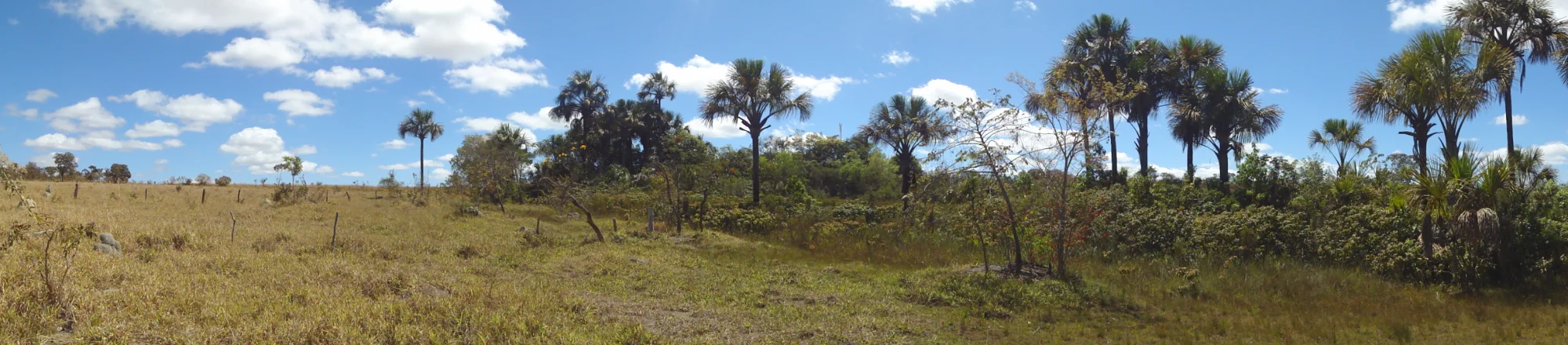 Propriedade rural em Campos Belos — 39 hectares — foto 1 de 1