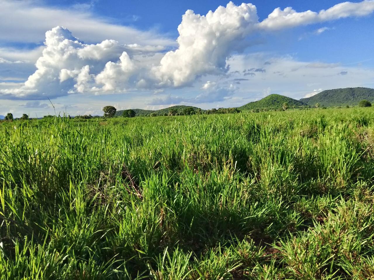 Propriedade rural em Porto Murtinho — 4.900 hectares — foto 1 de 12